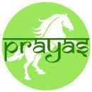 Prayas Consultancy Services