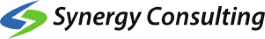 SYNERGY Consultants